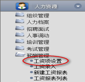工資項設(shè)置