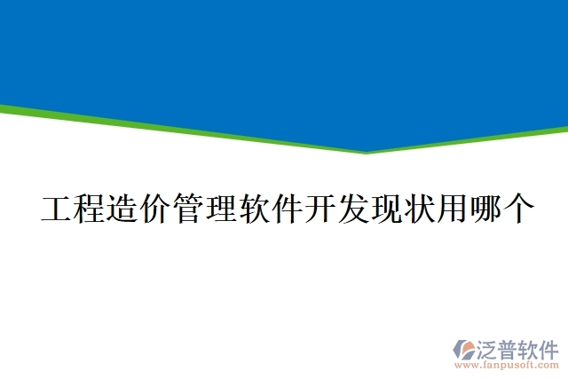 工程造價(jià)管理軟件開(kāi)發(fā)現(xiàn)狀用哪個(gè)
