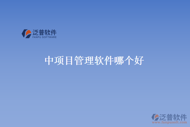 中項目管理軟件哪個好