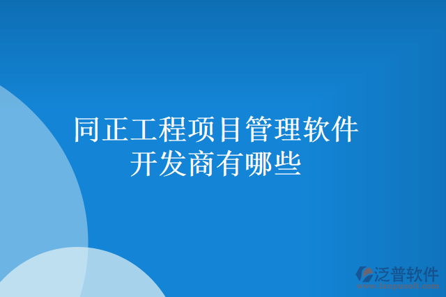 同正工程項(xiàng)目管理軟件開發(fā)商有哪些