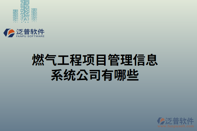 燃?xì)夤こ添椖抗芾硇畔⑾到y(tǒng)公司有哪些