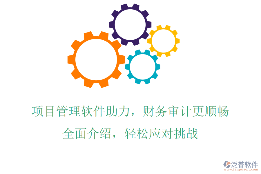 項(xiàng)目管理軟件助力，財(cái)務(wù)審計(jì)更順暢，全面介紹，輕松應(yīng)對(duì)挑戰(zhàn)