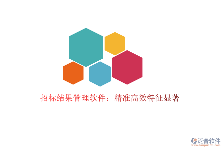 招標結果管理軟件：精準高效，特征顯著
