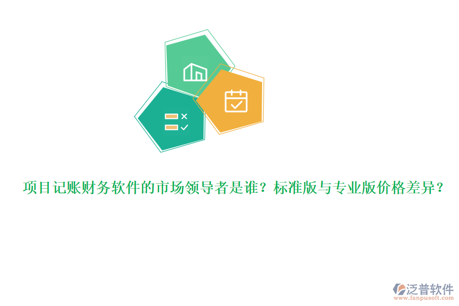 項目記賬財務(wù)軟件的市場領(lǐng)導(dǎo)者是誰？標(biāo)準(zhǔn)版與專業(yè)版價格差異？