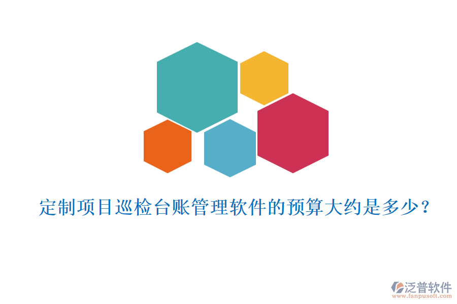 定制項(xiàng)目巡檢臺(tái)賬管理軟件的預(yù)算大約是多少？