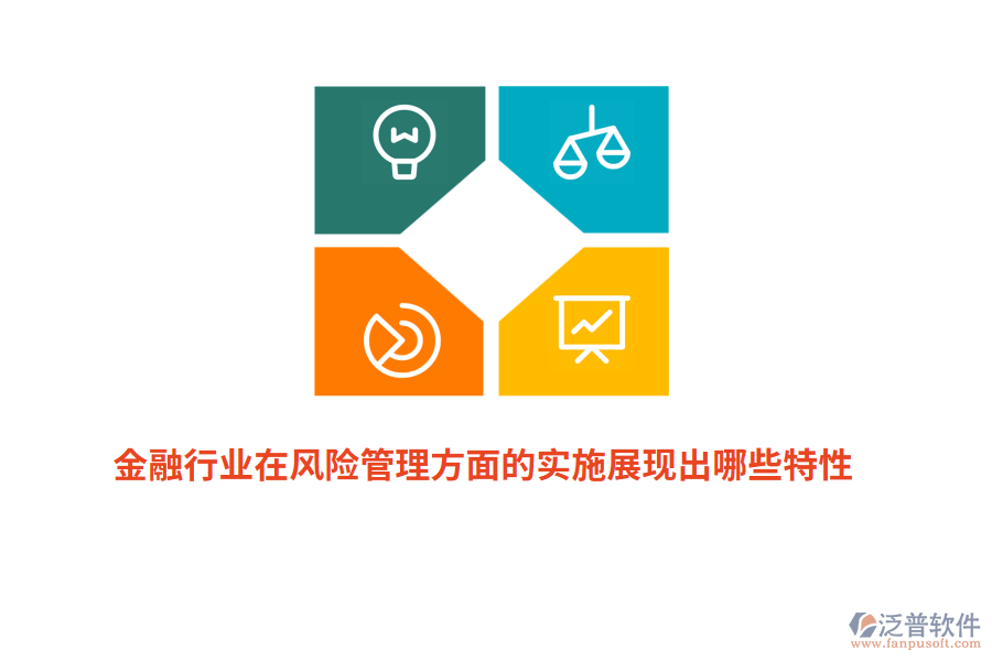 金融行業(yè)在風(fēng)險管理方面的實(shí)施展現(xiàn)出哪些特性？