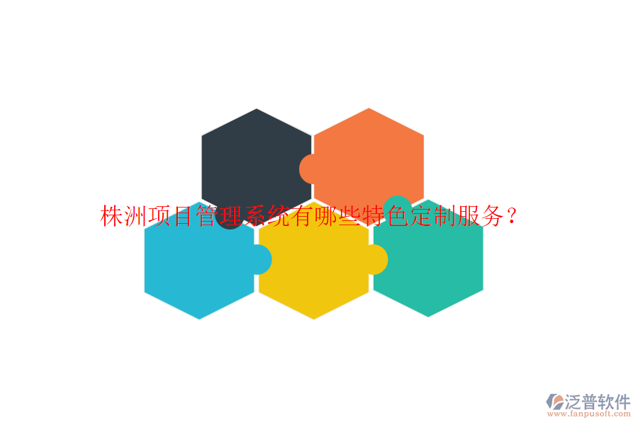 株洲項目管理系統(tǒng)有哪些特色定制服務？