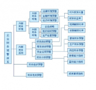 財(cái)務(wù)預(yù)警系統(tǒng)案例分析