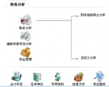 財務(wù)軟件免費版的優(yōu)缺點有哪些？
