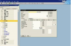 在哪里能下載到SAP財(cái)務(wù)軟件呢？
