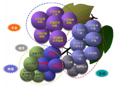 金和OA軟件好不好？有沒有人知道呢？